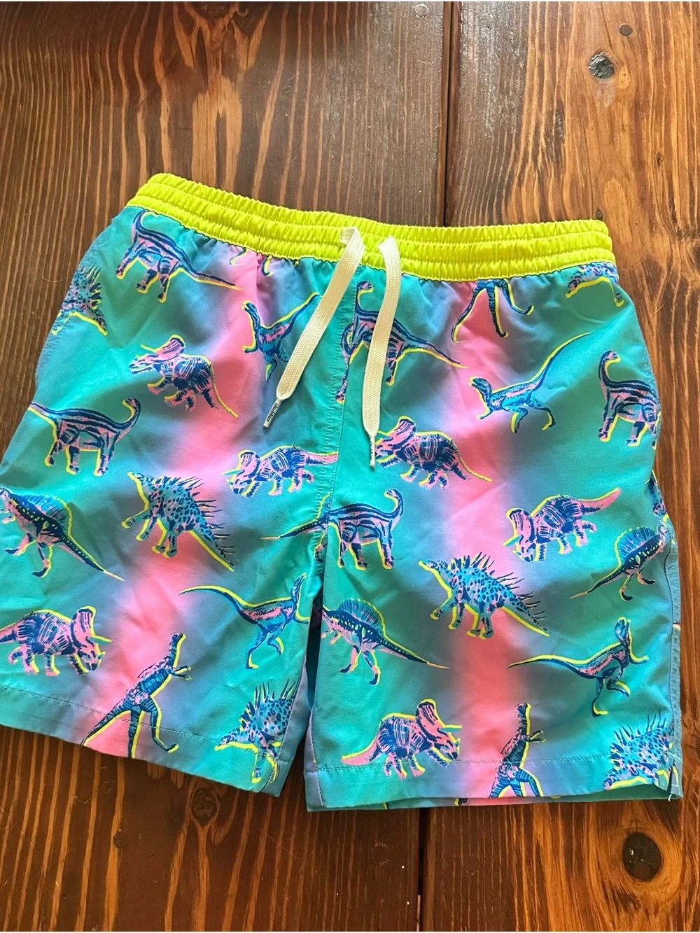 Chubbies Boys Youth Medium 10/12 Swim Shorts SET OF 2 dinosaurs alligator